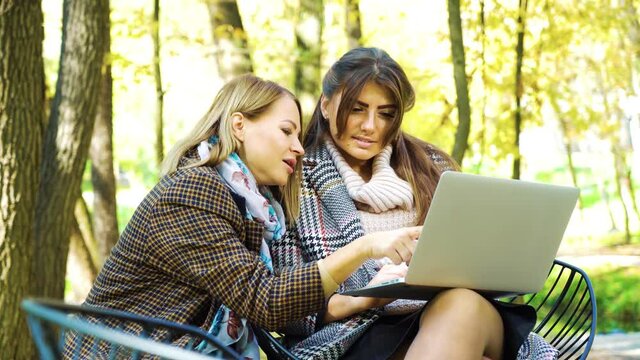 Young women in stylish outfits sitting in park and having video call on laptop, yellow trees on background. Business people having online meeting outside. Concept of remote work
