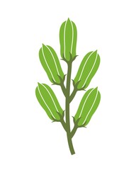 Sesame logo. Isolated sesame on white background