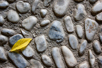 otoño,hoja entre piedras