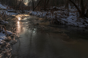 The sun breaks through trees and bushes, golden gleam glides over the ice of the frozen stream