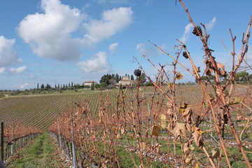 panorama toscana in autunno