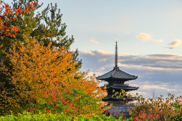 京都の八坂の塔