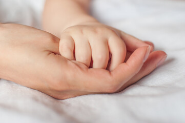 Fototapeta na wymiar Baby hand gently holding adult's finger