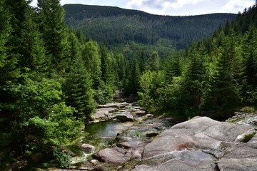 Obraz premium The Devil's Creek in Krkonose or Giant Mountains, Czech Republic, is a small river with waterfalls that is an affluent to Labe River.