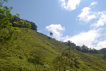 Obraz premium Natureza, verde, florestas, plantas, morros, paisagens