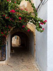 Fototapeta na wymiar Pink bougainvillea bush on the house wall. Narrow lane in medina district of Hammamet town, Tunisia. Traditional old architecture for North Africa.