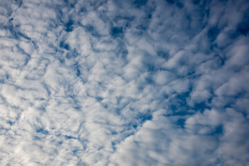 The clouds cover bright sky in so many layers that it was almost invisible