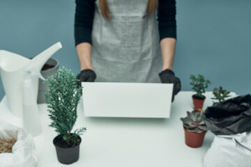 The girl plants indoor plants and flowers in soil and pots. Plant care and maintenance. Hobby.