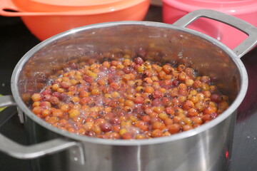 Weißdorn und Marmelade 