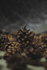 Christmas picture with fir cones on a silver background