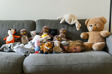 Stuffed Toys Collection on Sofa