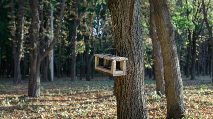 Autumn landscape - bird feeder in the form of a house.