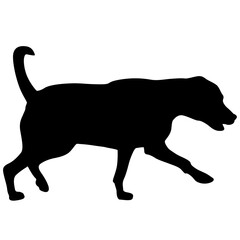 Labrador dog black silhouette on white background