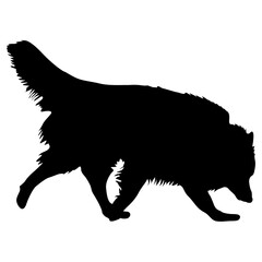 Shepherd dog black silhouette on white background