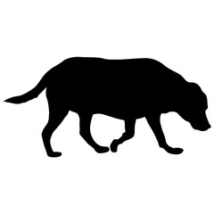 Labrador dog black silhouette on white background