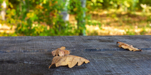 Fallen yellow leaves on an old wooden table in the Park on a Sunny autumn day.