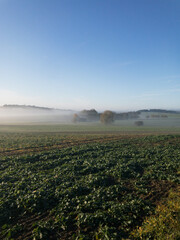 Herbststimmung in der Eifel