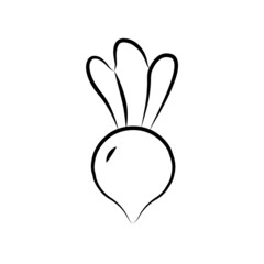Turnip Vegetable simple brush icon