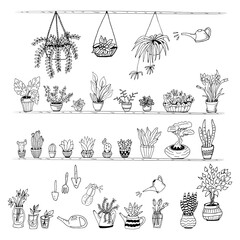 Set of hand drawn house plants in pots. Big set cute of hand drawn house plants in pots including cactus, dracena, aloe and others, and garden tools. Vector collection of doodle plants.