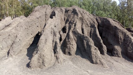 Przyroda odradza się na wyrobisku węgla brunatnego.