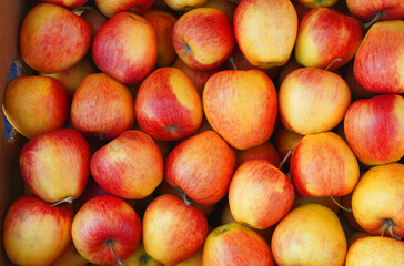 fresh apples on a market stall