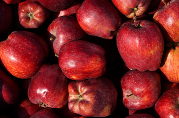 red apples on a market