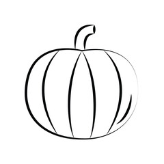 pumpkin isolated on the white brush icon