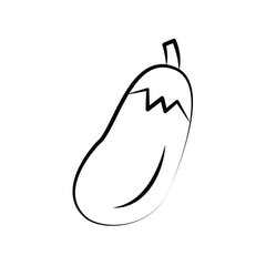 Eggplant Vegetable simple brush icon