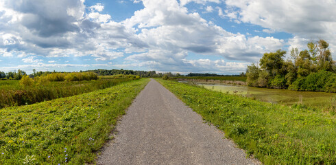 Obraz premium A wide gravel walking path leads into Iroquois National Wildlife Refuge, New York, USA