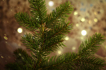 christmas tree branches