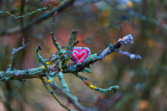 Branch of an old tree. There is a painted stone on the branch. The heart is painted on the stone