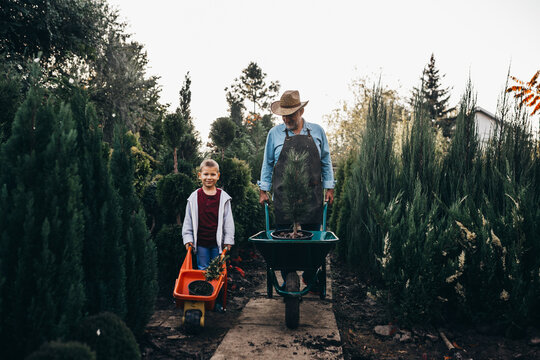 boy with his grandfather in family tree nursery