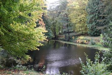 Herbst an einem See in Blankenburg