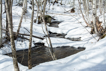 frozen river in the forest with snow