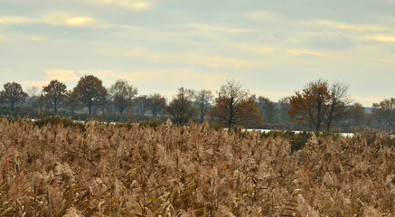 Obraz premium Kolory jesieni