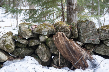 rock wall in winter forest close up