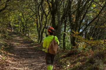 forest worker woman walking along the forest path