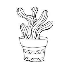 Cacti. Cute hand drawn simple template. Gardening. Tropical cactus in a pot. Doodle illustration isolated on white background. Plants, botany, nature