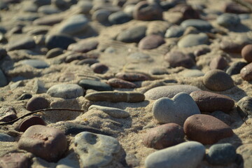 rocks on the beach shore