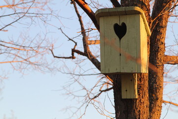 The birdhouse is waiting for spring and the return of birds.