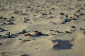 small rocks in the sandy beach