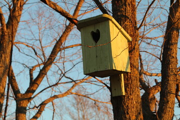 A birdhouse made with love for nature