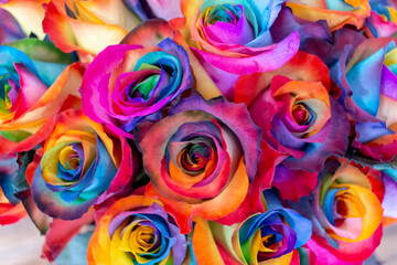 Fototapeta na wymiar Un ramo de rosas multicolor