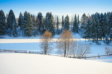 Trees near a frozen pond in the village. Russia, Udmurtia