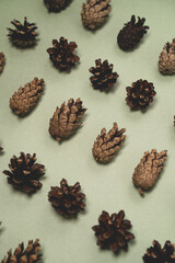 Christmas gentle green background with fir and pine cones