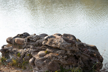 Obraz premium Huge stone near the lake