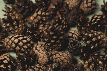 New Year's pattern from natural pine brown cones on a gentle background.