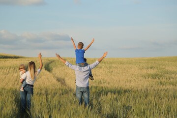 Naklejka na ściany i meble Happy family walking in wheat field on sunset in a warm summer evening. 