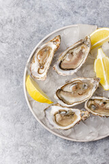 Fresh raw oysters on ice with lemon