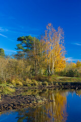 Landscape in the National Park Maasduinen in the Netherlands